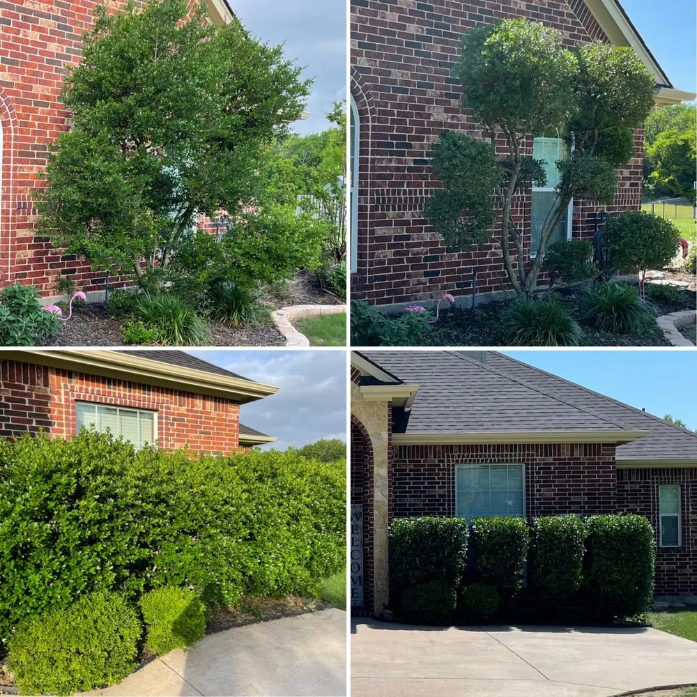 Affordable landscape installation for homes in Fort Worth, TX by Call Dad