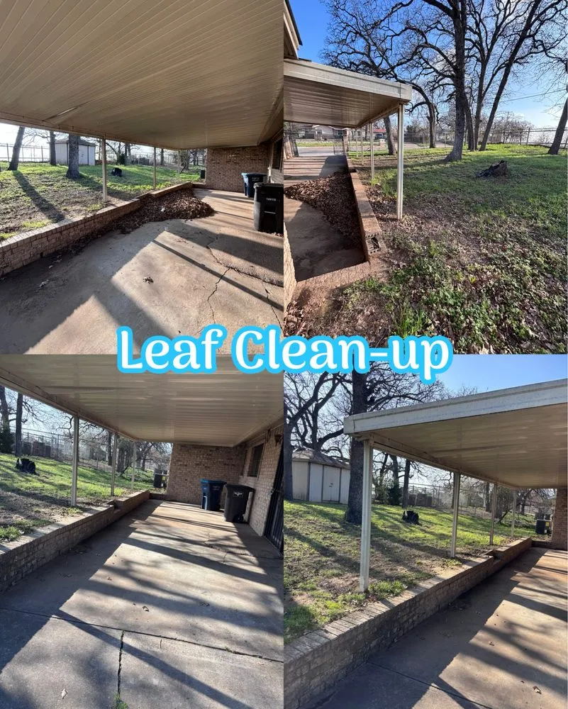 Top-rated yard cleanup service for residential properties in Fort Worth, TX by Call Dad