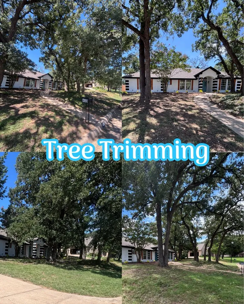 Reliable yard cleanup service in Fort Worth, TX by Call Dad