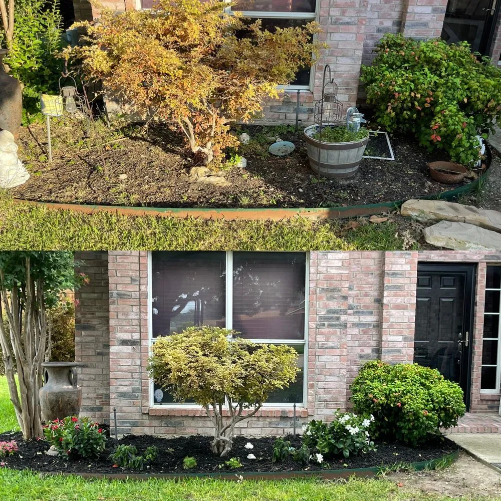 Trusted outdoor landscaping for beautiful yards in Fort Worth, TX by Call Dad