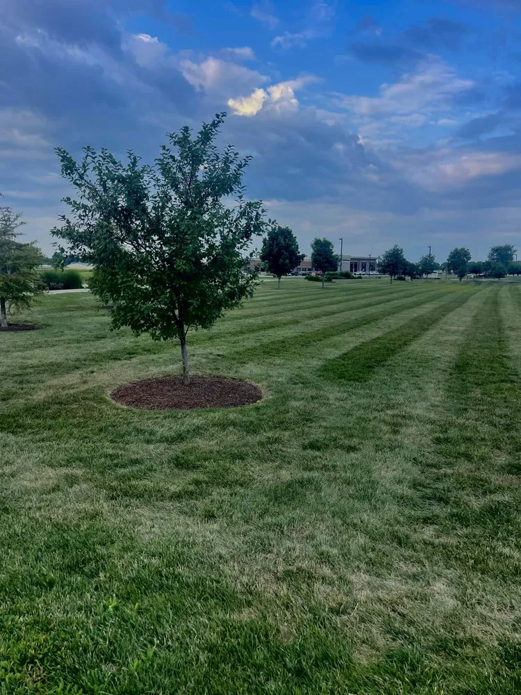 Trusted lawn care service experts serving Urbana, IL - Call Eddie