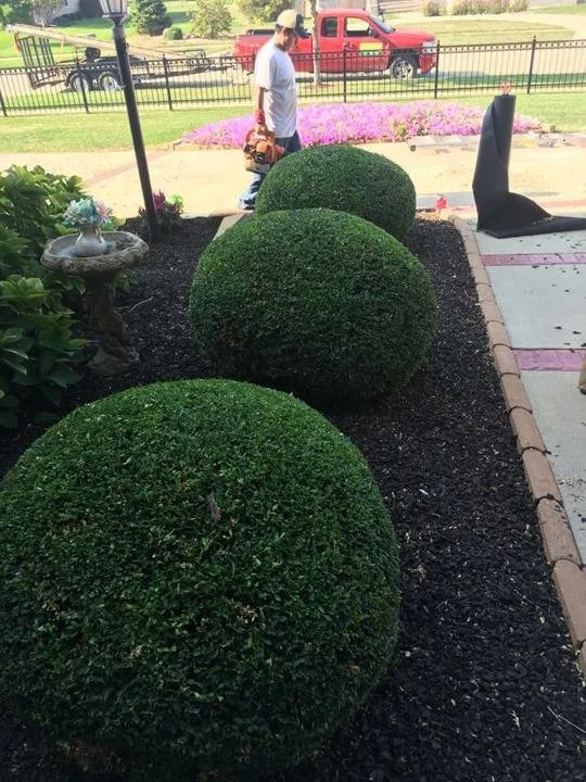 Affordable outdoor landscaping for residential properties across Urbana, IL - Call Eddie