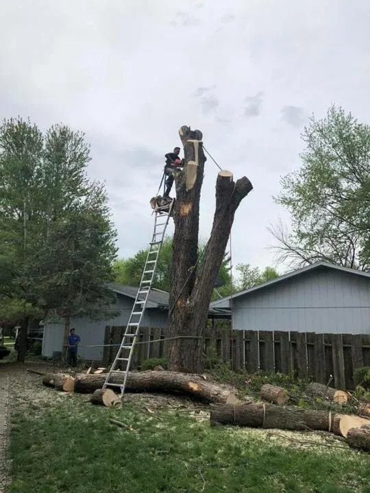Local outdoor landscaping in Urbana, IL - Call Eddie