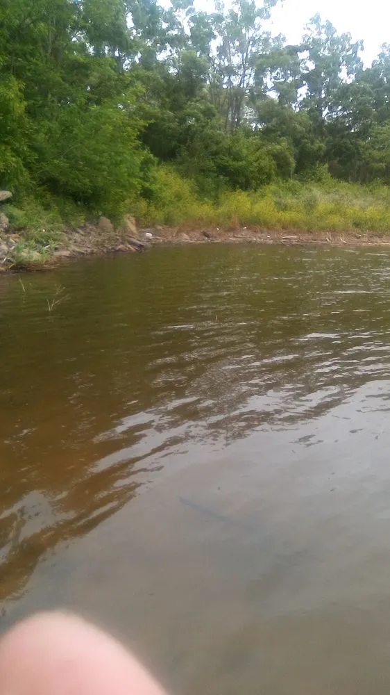 Professional lawn mowing service in Pekin, IL - Call Jman