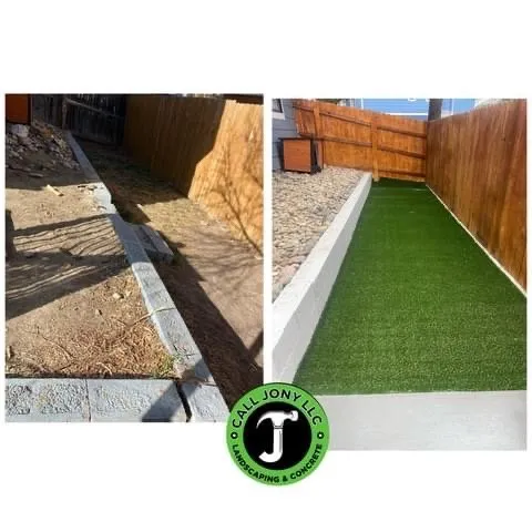 Trusted yard cleanup service experts serving Colorado Springs, CO - Call Jony