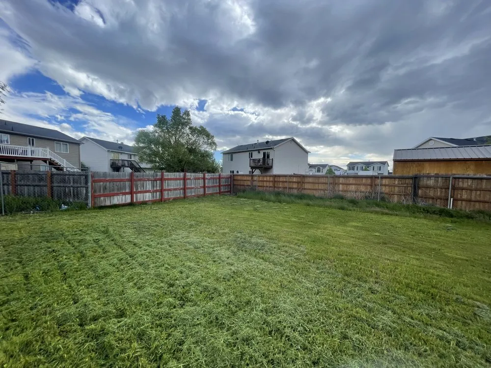 Expert yard cleanup service for year-round maintenance in Ogden, UT by Call Me Jack