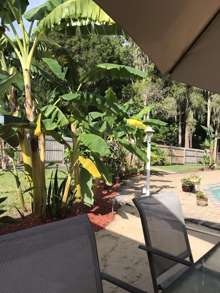 Trusted landscape installation for homes in New Port Richey, FL by Call Me Lawn Service