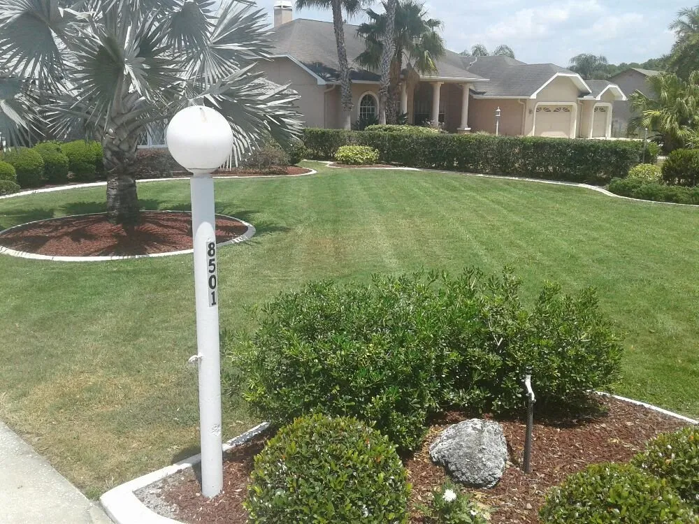 Top-rated lawn care service for year-round maintenance across New Port Richey, FL - Call Me Lawn Service