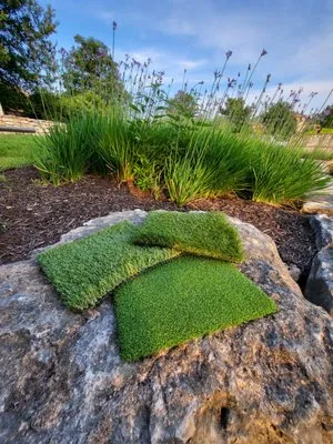 Call My Sons Turf & Landscaping Logo