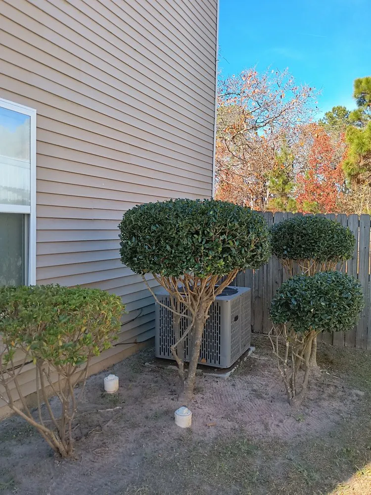 Local yard cleanup service experts serving Bunnlevel, NC - Call My Yard Guy