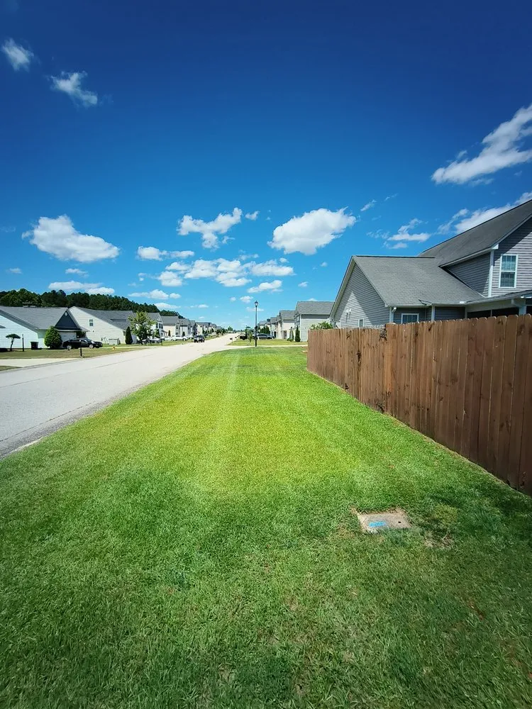 Reliable landscaping services for beautiful yards across Bunnlevel, NC - Call My Yard Guy