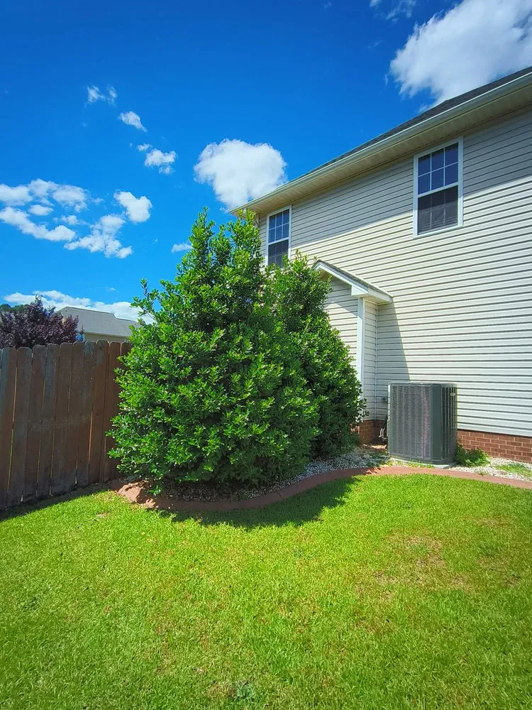 Expert outdoor landscaping in Bunnlevel, NC - Call My Yard Guy