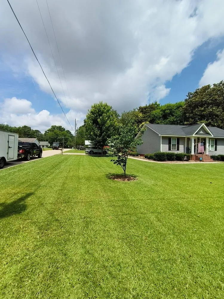 Professional yard cleanup service in Bunnlevel, NC - Call My Yard Guy