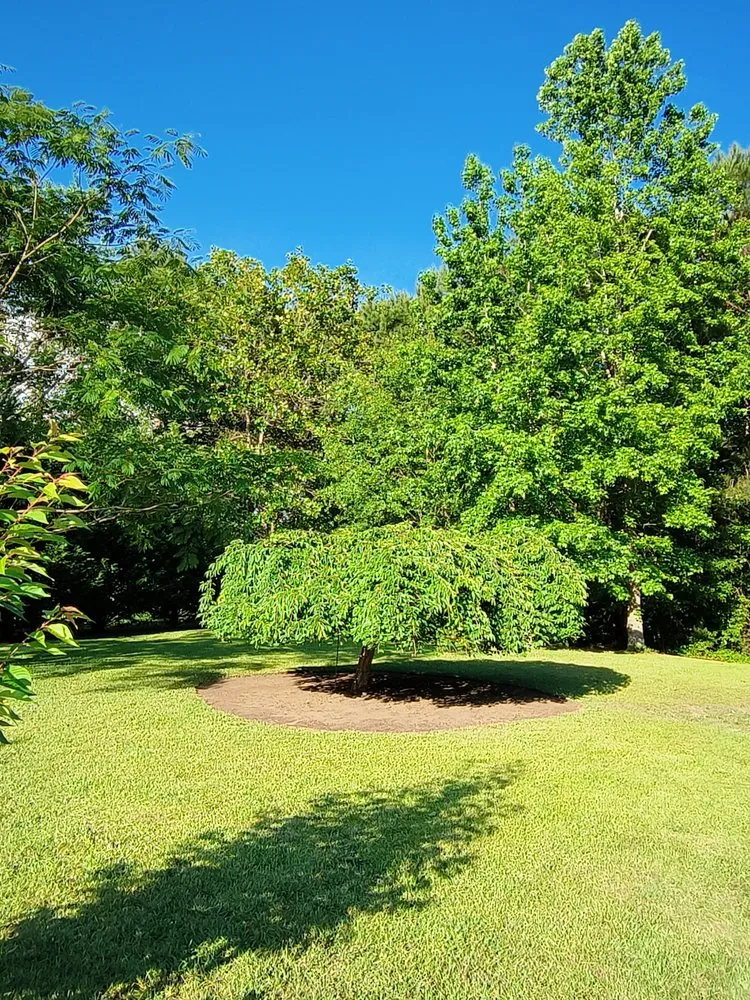 Custom landscaping services near you across Bunnlevel, NC - Call My Yard Guy