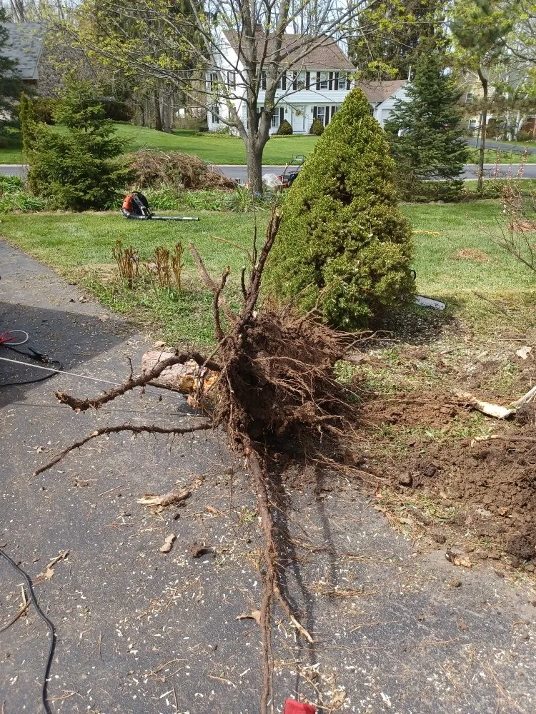 Trusted residential landscaping in Rochester, NY by Call Nick Property Maintenance