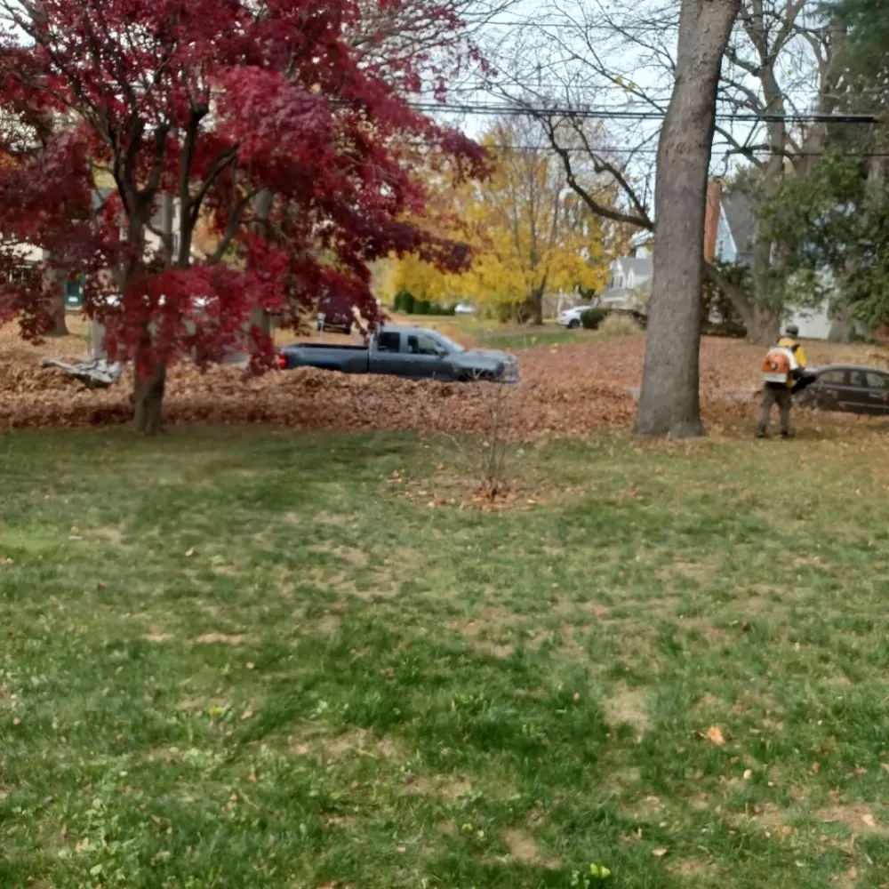 Expert landscape design experts serving Rochester, NY - Call Nick Property Maintenance