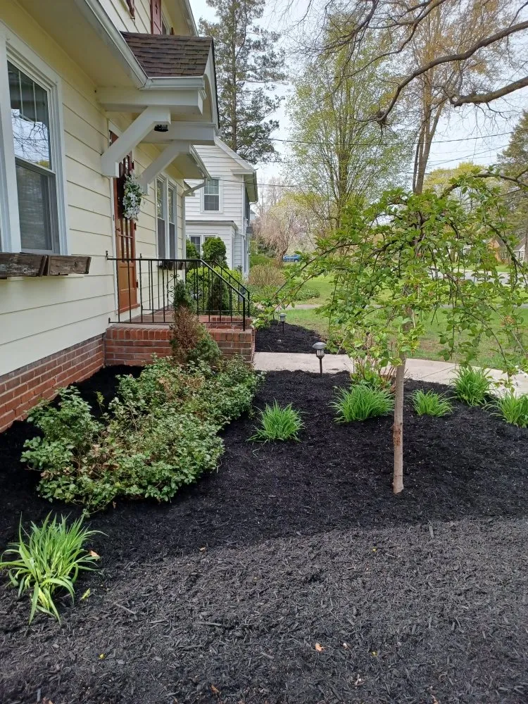 Top-rated yard cleanup service near you across Rochester, NY - Call Nick Property Maintenance