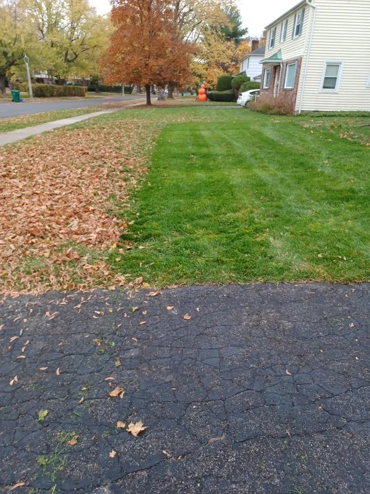 Affordable landscape design experts serving Rochester, NY - Call Nick Property Maintenance