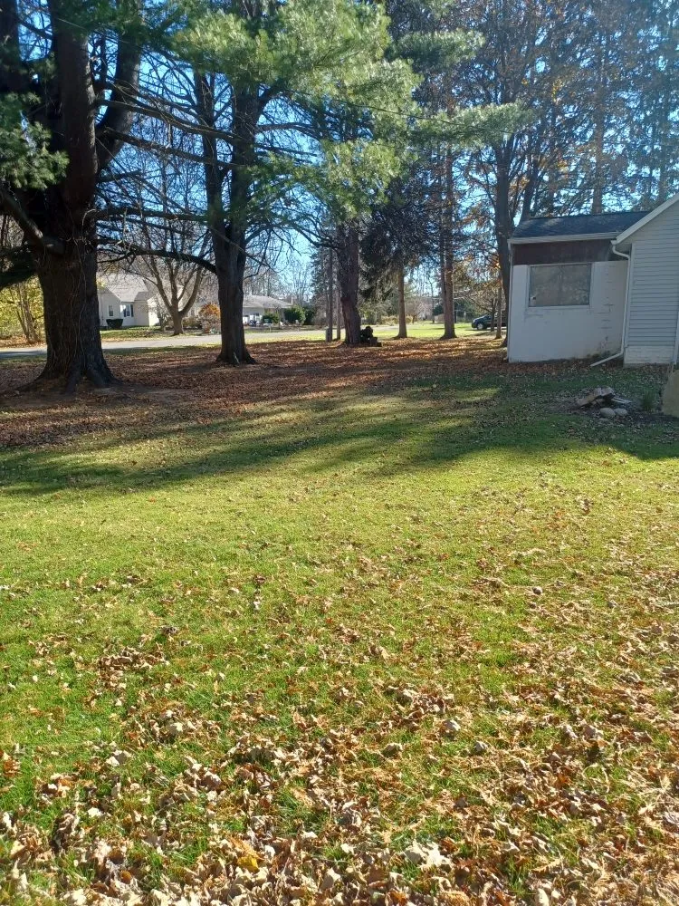 Local outdoor landscaping in Rochester, NY by Call Nick Property Maintenance