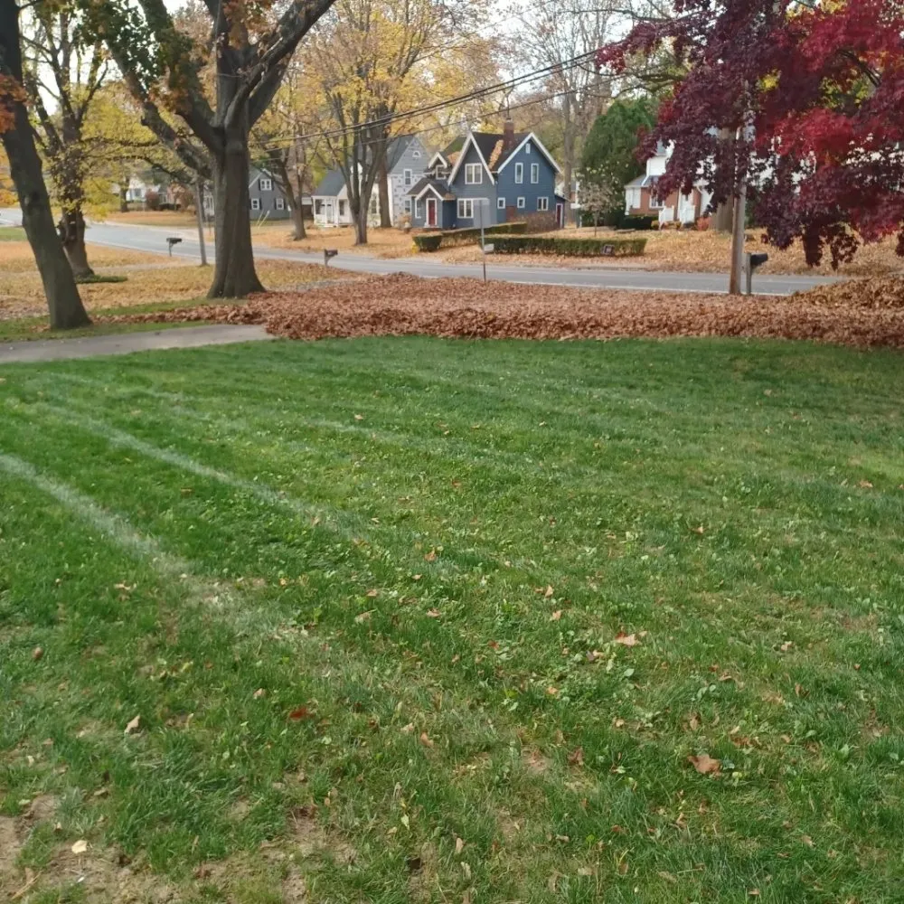 Custom landscaping services experts serving Rochester, NY - Call Nick Property Maintenance