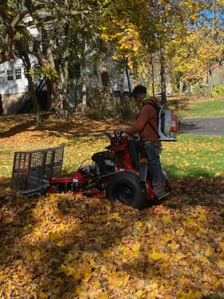 Professional yard maintenance near you in Rochester, NY by Call Nick Property Maintenance