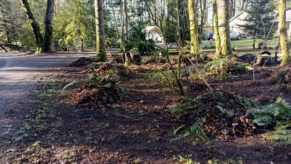 Affordable lawn mowing service experts serving Vancouver, WA - Call Oscars Landscaping Junk Removal