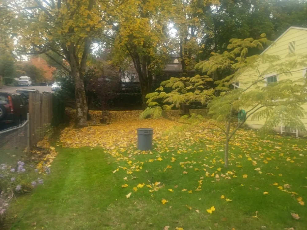 Affordable garden landscaping with custom design across Vancouver, WA - Call Oscars Landscaping Junk Removal