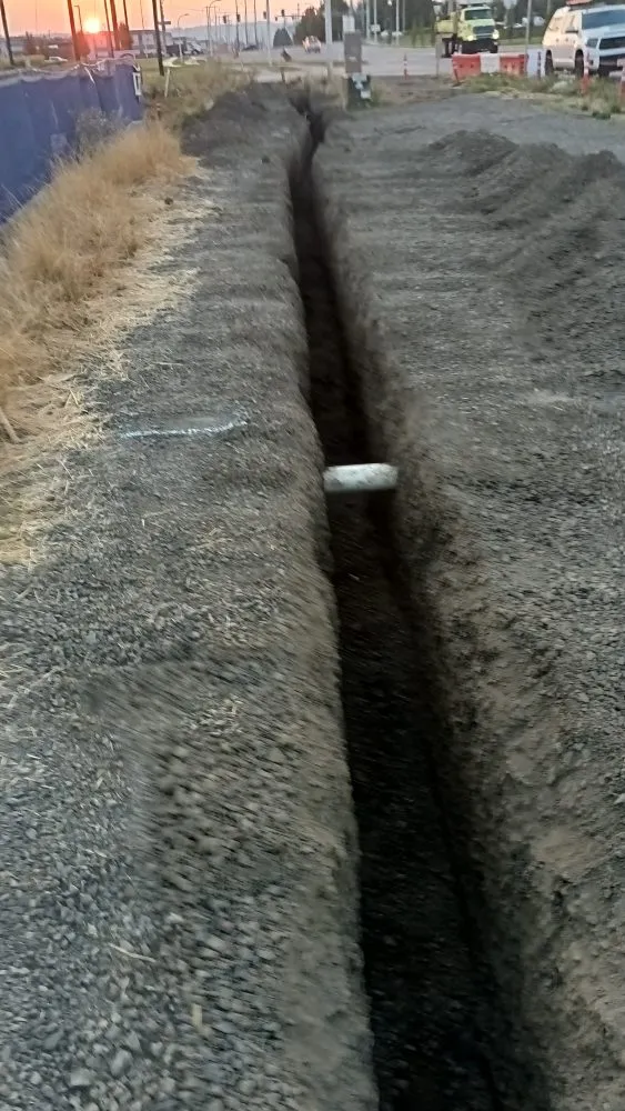 Trusted yard cleanup service in Vancouver, WA - Call Oscars Landscaping Junk Removal