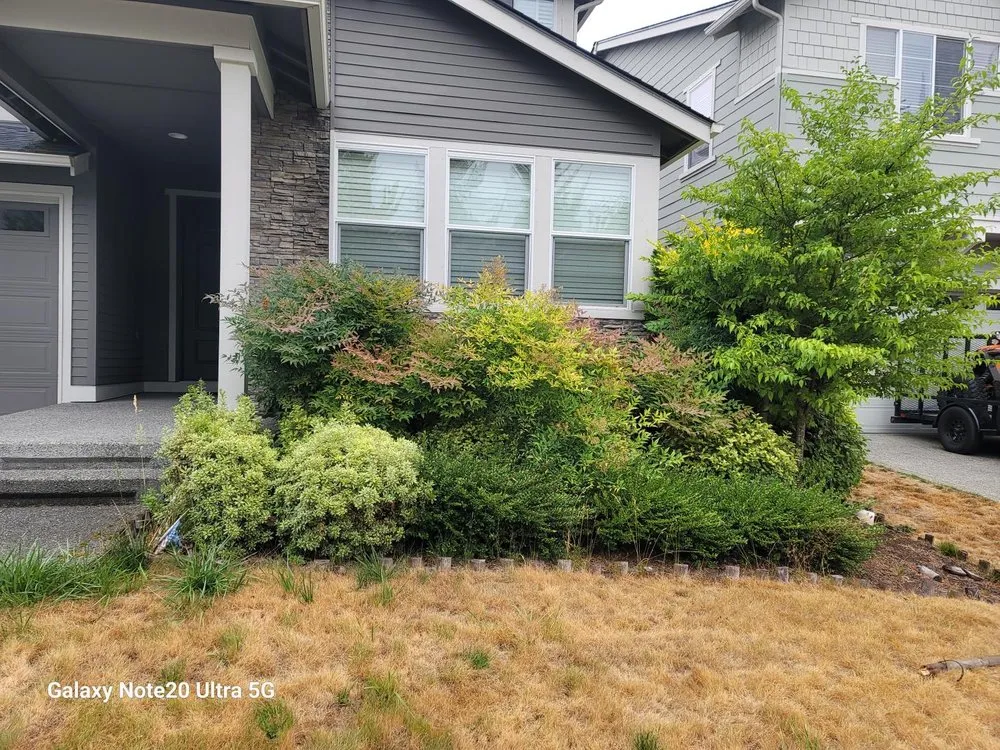 Expert landscaping services in Renton, WA by Call Ryan Landscaping & Maintenance