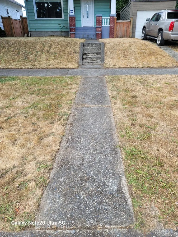 Reliable yard cleanup service with custom design in Renton, WA by Call Ryan Landscaping & Maintenance
