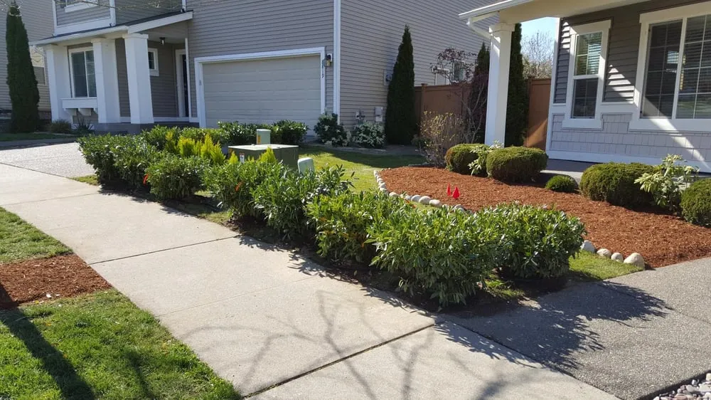 Affordable landscape design in Renton, WA by Call Ryan Landscaping & Maintenance
