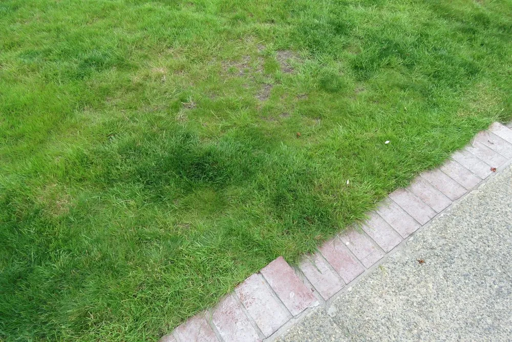 Custom outdoor landscaping in Renton, WA - Call Ryan Landscaping & Maintenance