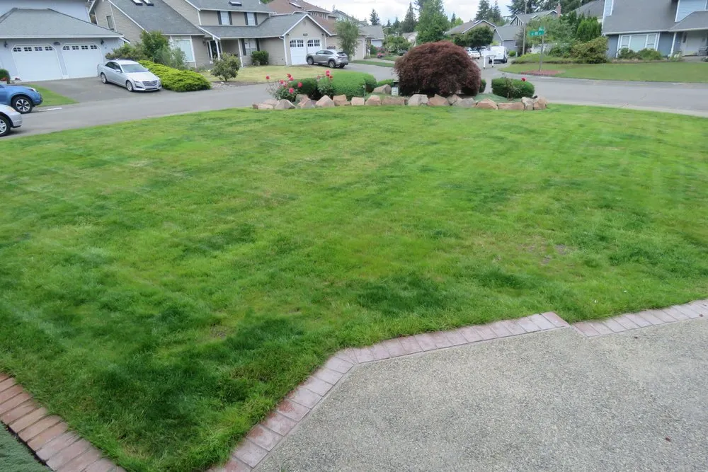 Local outdoor landscaping in Renton, WA - Call Ryan Landscaping & Maintenance