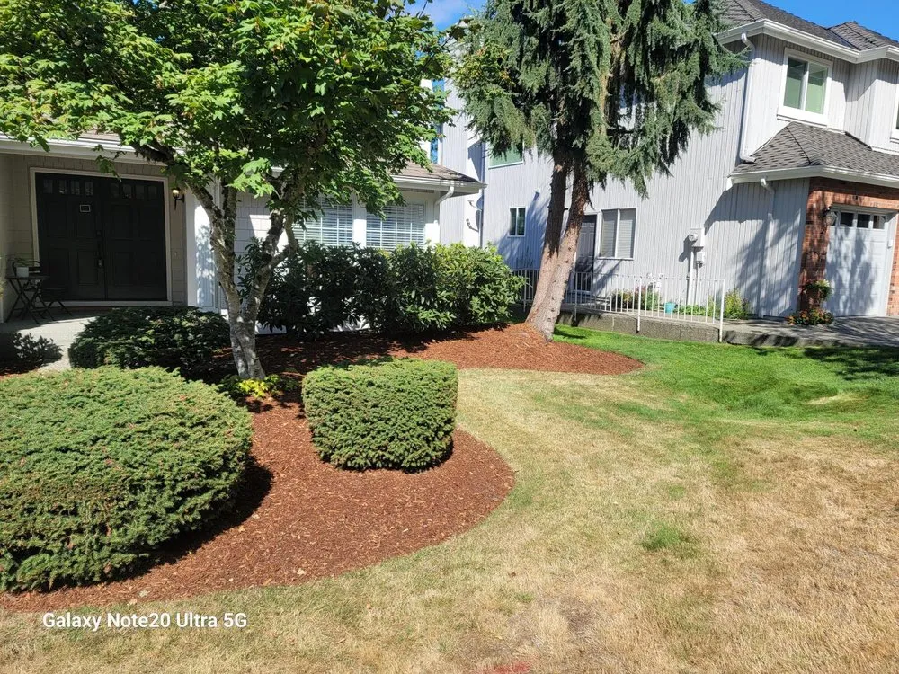Top-rated lawn care service for beautiful yards in Renton, WA by Call Ryan Landscaping & Maintenance