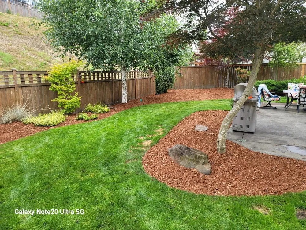 Trusted yard cleanup service for outdoor upgrades in Renton, WA by Call Ryan Landscaping & Maintenance
