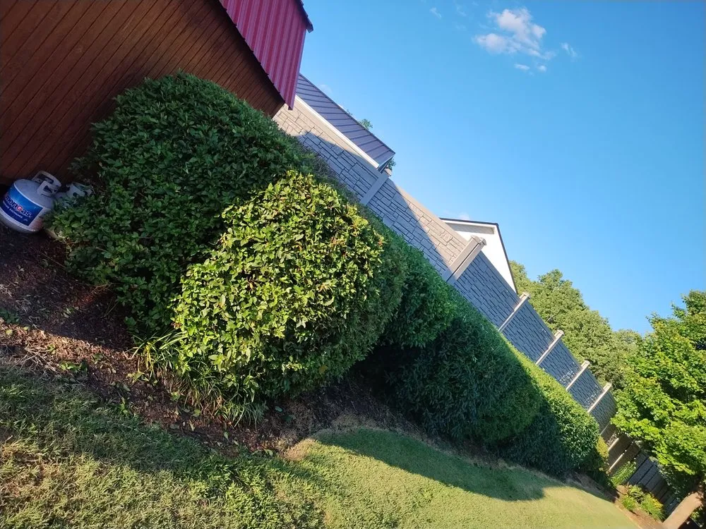 Custom outdoor landscaping with custom design in Greenville, SC by Call Someone Who Cares Lawn Care