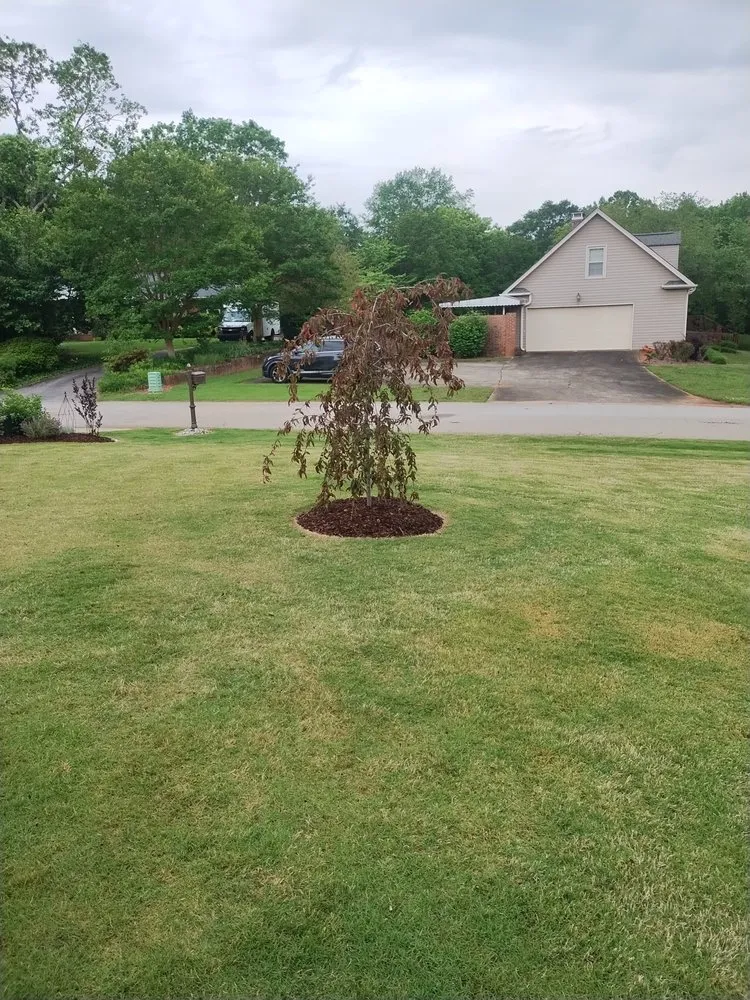 Professional yard maintenance experts serving Greenville, SC - Call Someone Who Cares Lawn Care