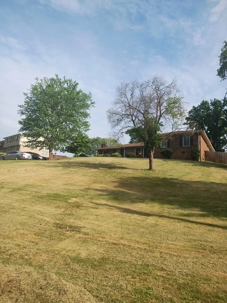 Affordable yard cleanup service in Greenville, SC by Call Someone Who Cares Lawn Care