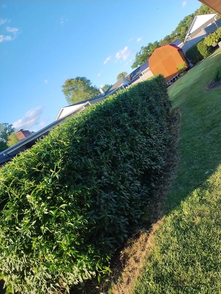 Reliable lawn mowing service in Greenville, SC by Call Someone Who Cares Lawn Care