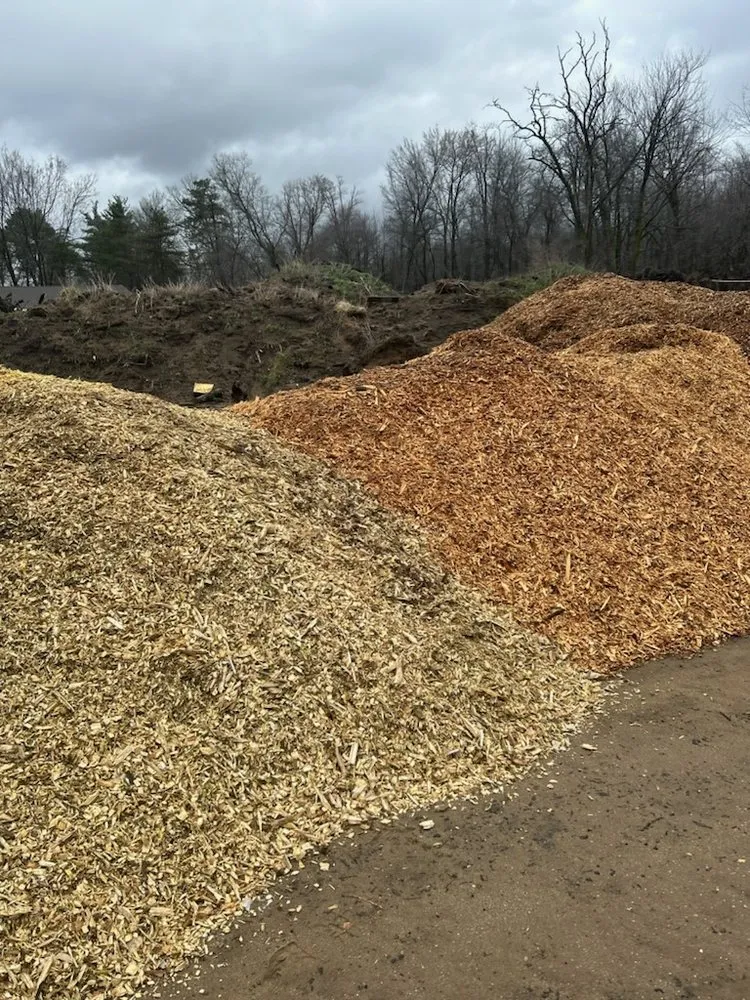 Affordable residential landscaping near you across Grand Rapids, MI - Call The Man Wood Chip Services