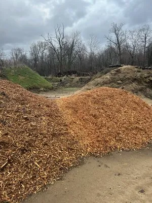 Call The Man Wood Chip Services Logo