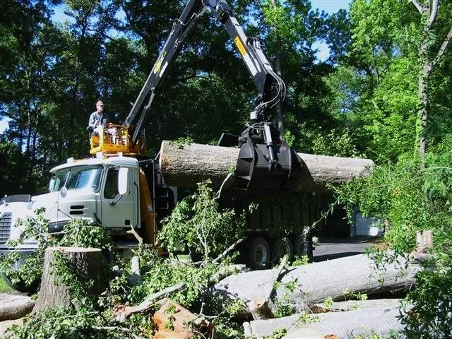 Trusted outdoor landscaping for year-round maintenance across High Springs, FL - Call The Treeman