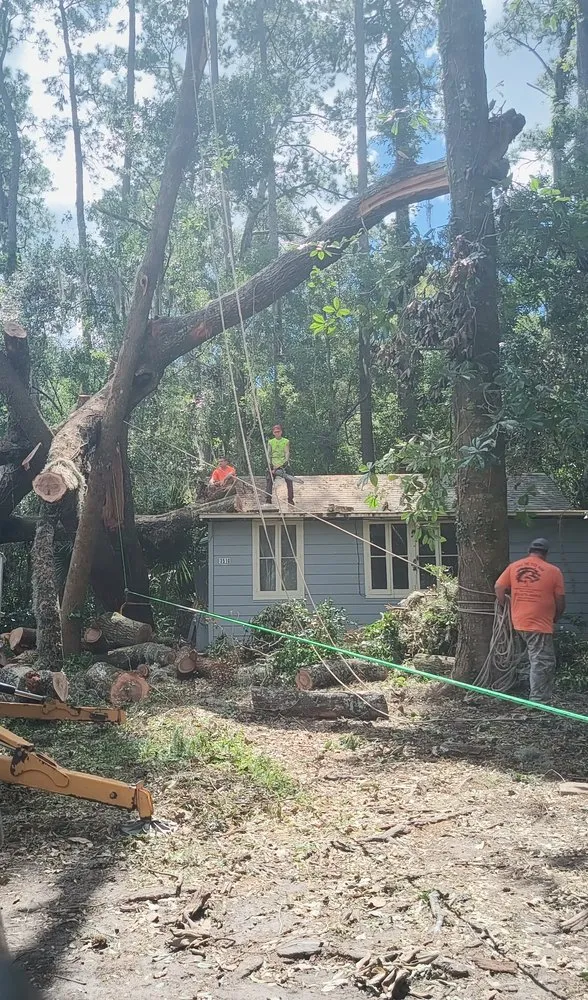 Affordable outdoor landscaping for residential properties in High Springs, FL by Call The Treeman