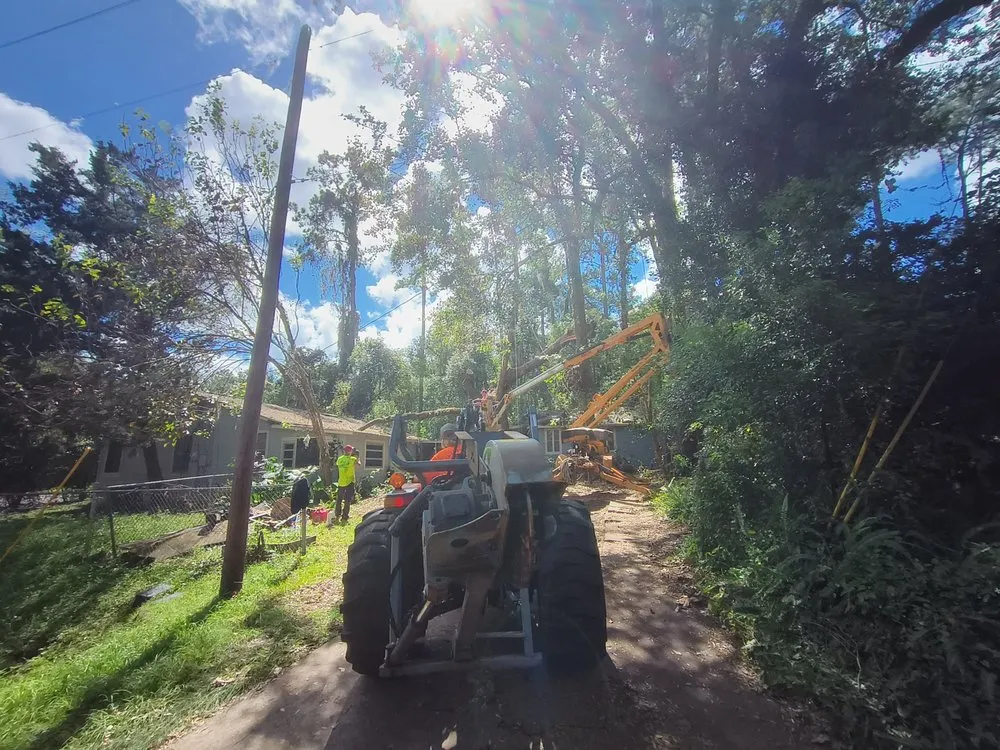 Local landscape installation in High Springs, FL - Call The Treeman