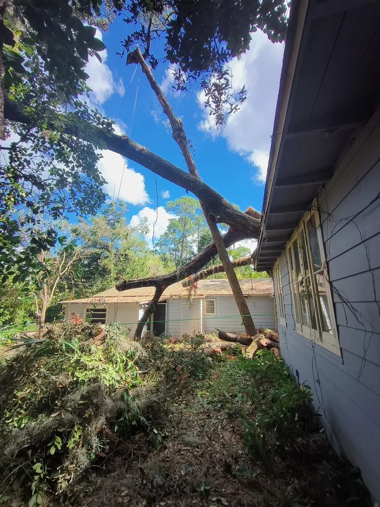 Expert outdoor landscaping near you in High Springs, FL by Call The Treeman