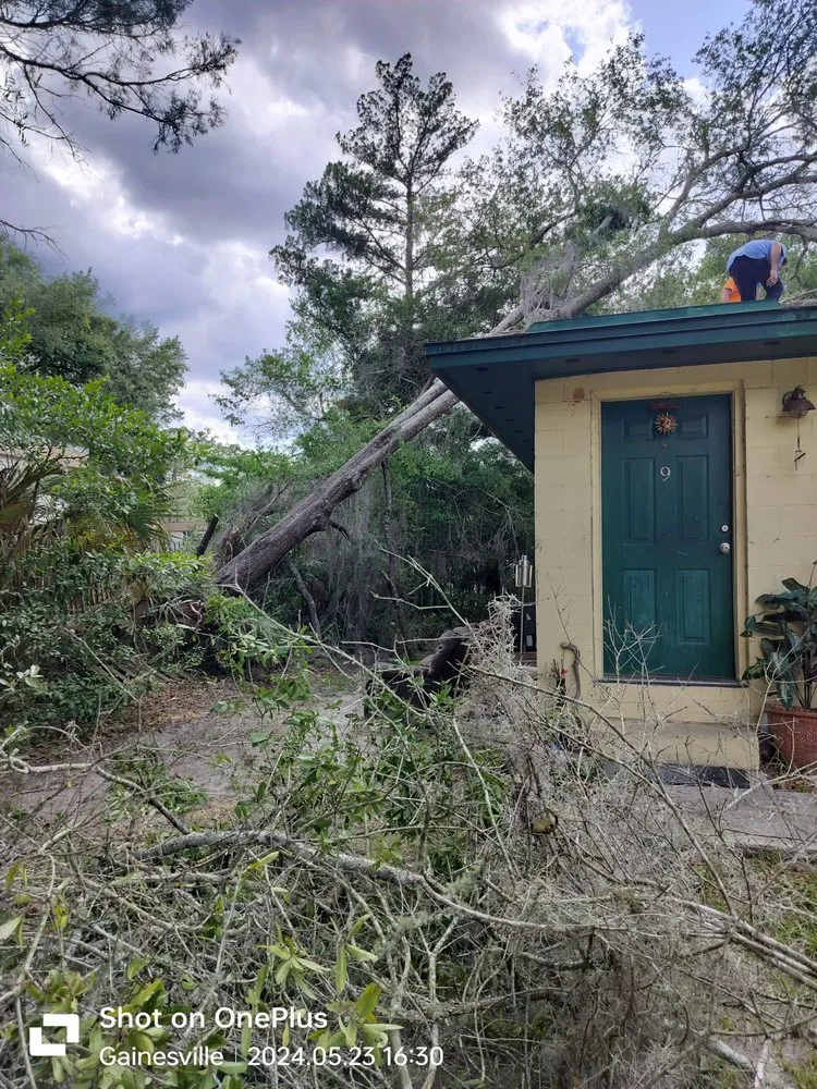 Local yard cleanup service in High Springs, FL - Call The Treeman