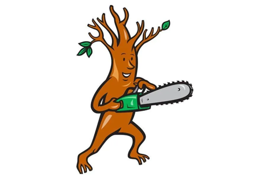 Expert landscaping services experts serving High Springs, FL - Call The Treeman