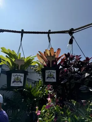 Callahan Gardens Logo