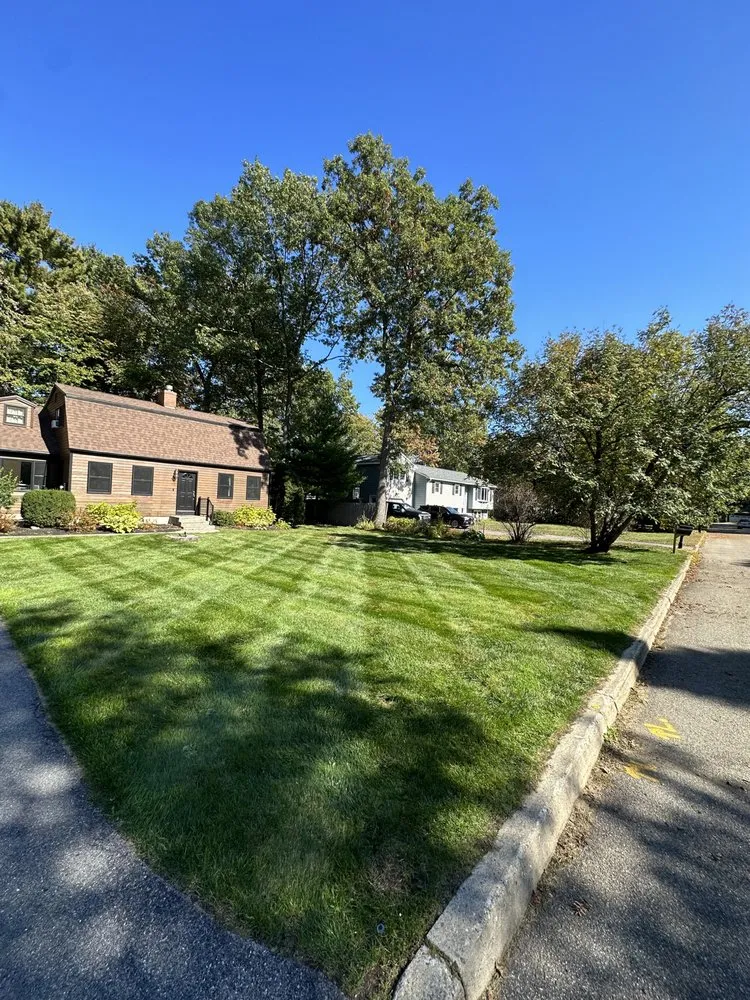 Reliable yard cleanup service in South Burlington, VT - Callahan Landscaping