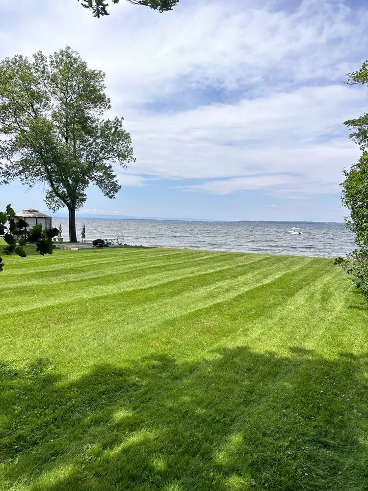 Trusted yard cleanup service in South Burlington, VT - Callahan Landscaping